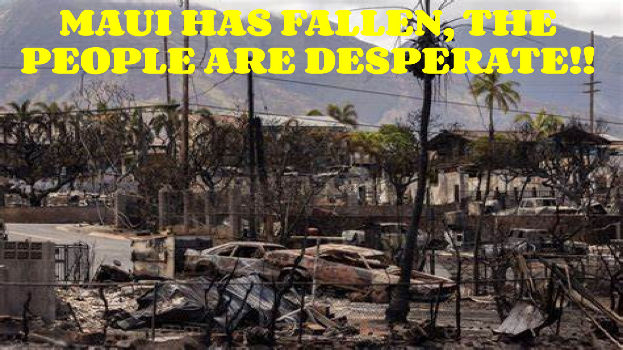 MAUI NATIVES IN DEEP TROUBLE BREAKING UPDATES