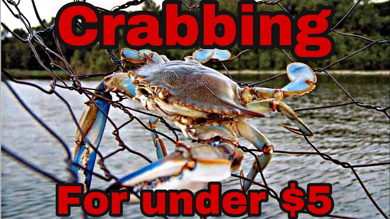 How to go crabbing from shore for UNDER $5