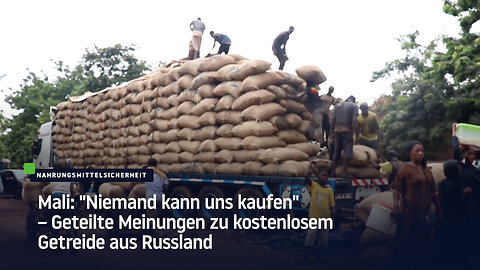 Mali: "Niemand kann uns kaufen" - Geteilte Meinungen zu kostenlosem Getreide aus Russland