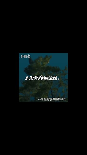 一句话开悟20220611