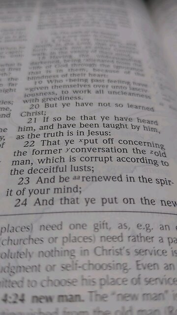 Renewed in the Spirit