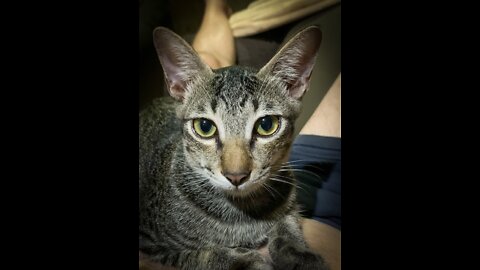 Morning treats with Fabian & Vinnie