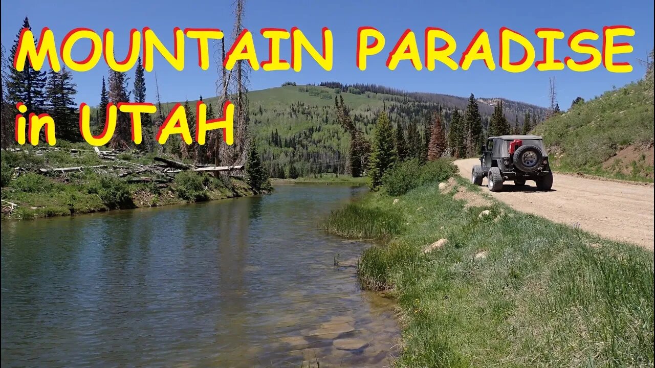 Mountain Paradise - Manti-La Sal NF Utah