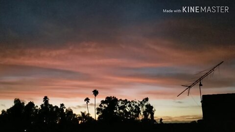 Born Free (SD,CA 8.7.17)