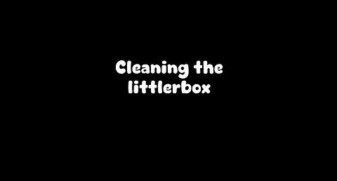 Challenges of cleaning the litter box