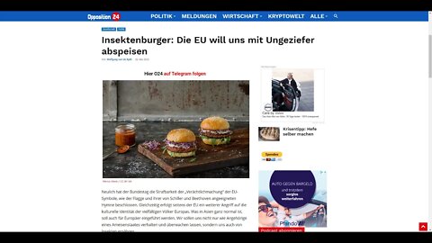 Insektenburger: Die EU will uns mit Ungeziefer abspeisen