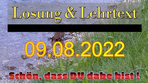 LL09.08.2022