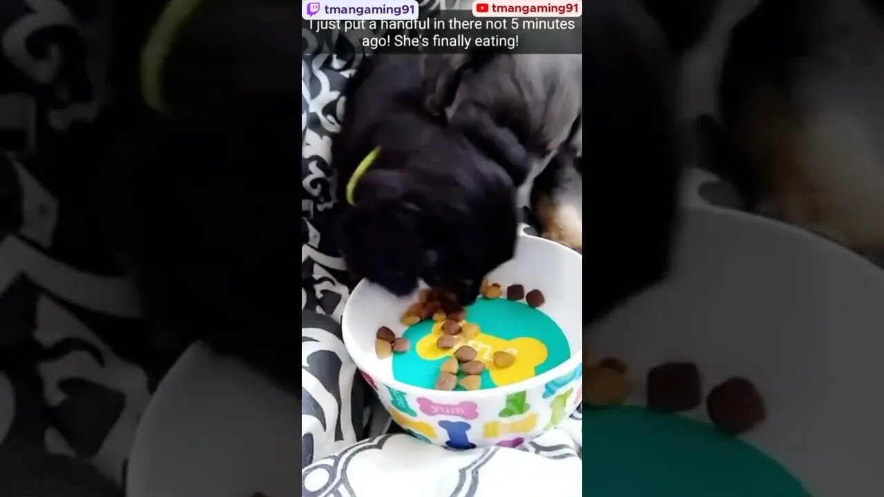 Iris And Jude Eating Together