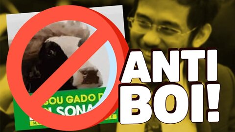 VÍDEO ANTI-BOI