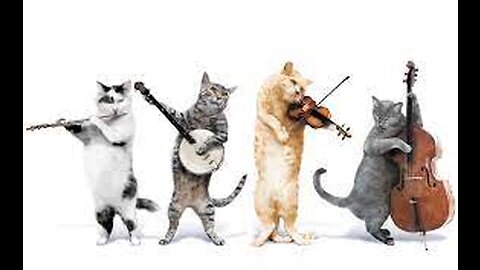 FUNNY CAT SINGING