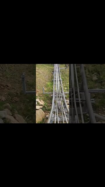 Alpine coasters
