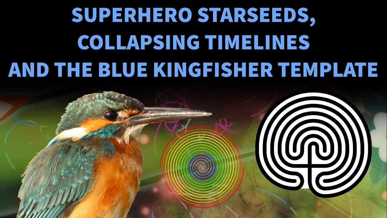 Superhero Starseeds, Collapsing Timelines and the Blue Kingfisher Template