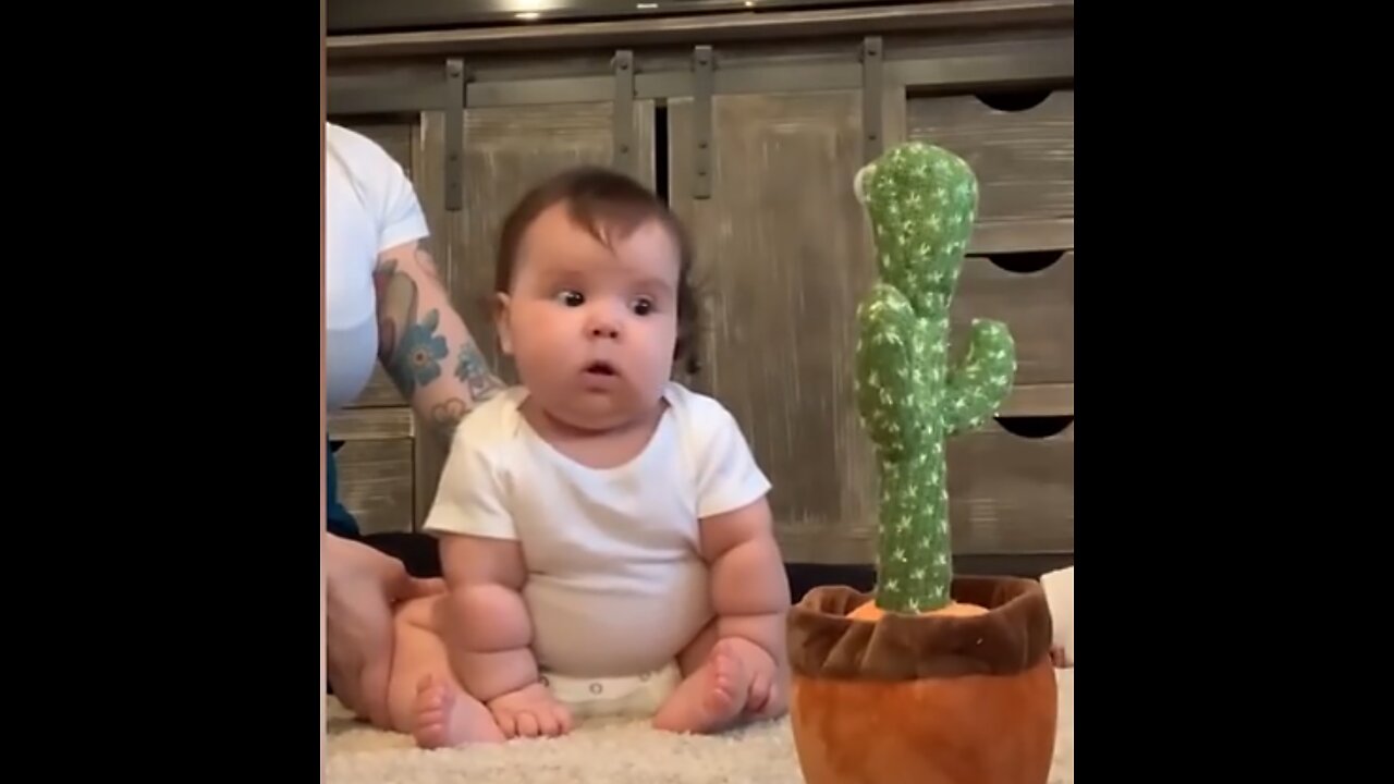 Funniest baby Vdeos of the Week