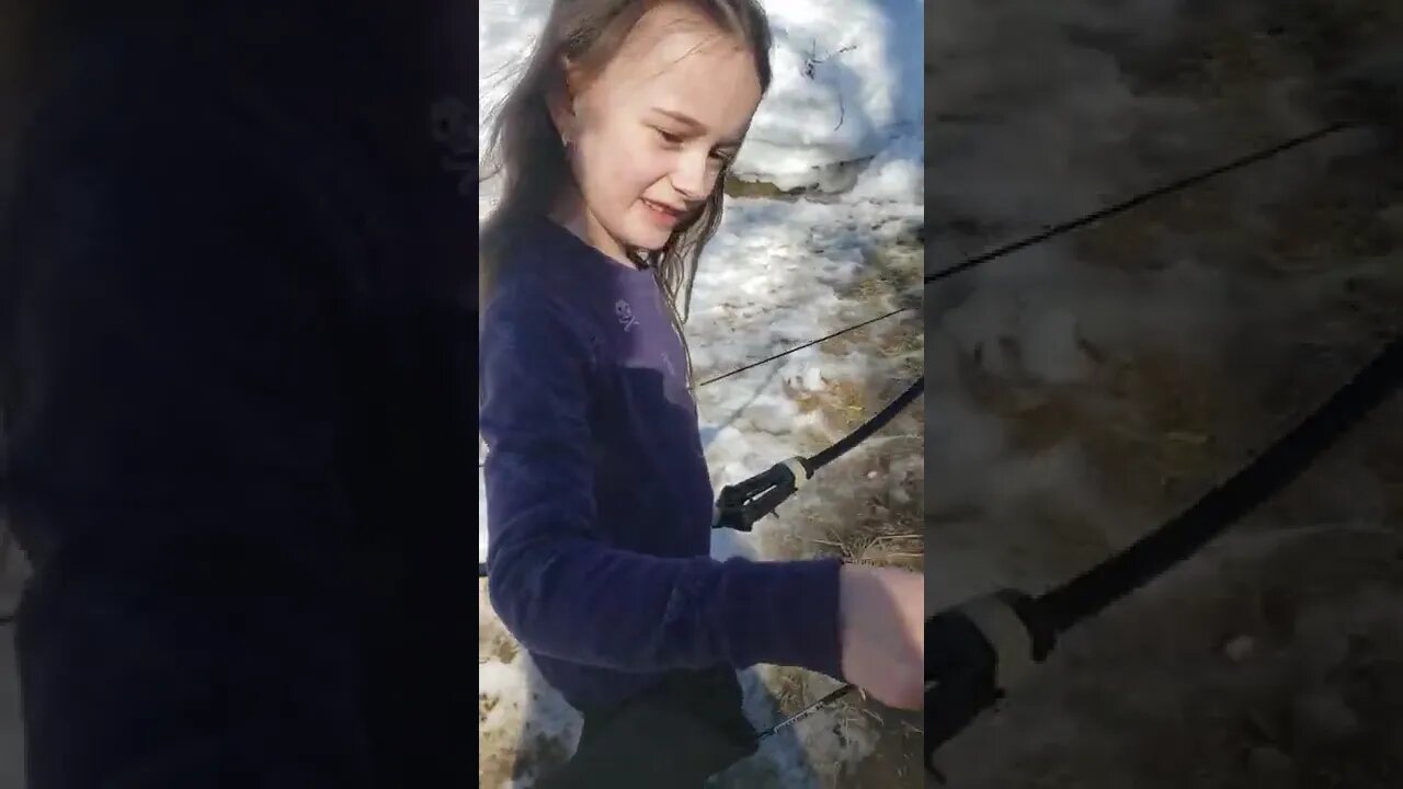 One Arrow A Day: Day2