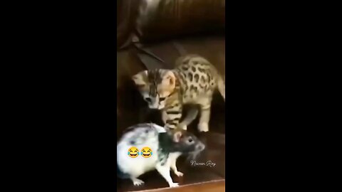 Expect the unexpected