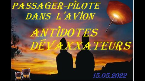 Passager-Pilote + ANTIDOTES DEVAXXXATEURS + quelques z'encarts