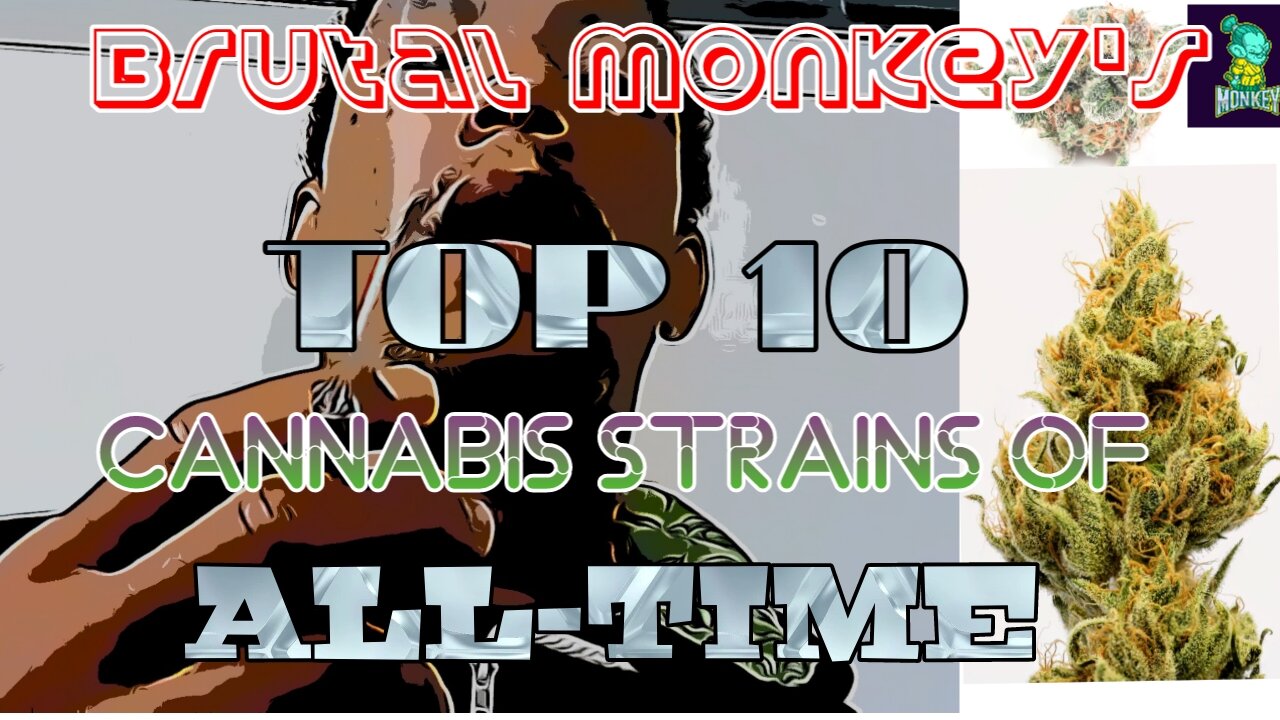 Brutal Monkey's Top 10 Cannabis strains of All-Time