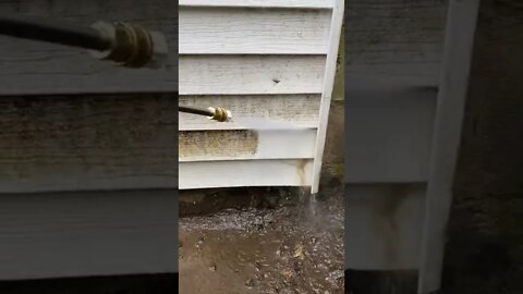 viral shorts & trending video for Entertain Your Mood #shorts #trending #viral #youtubeshorts