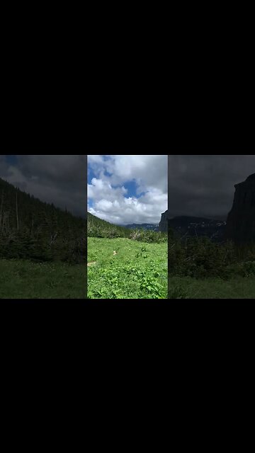 New Views and New Friends