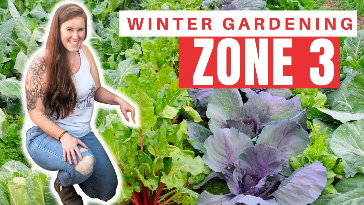 Planting A Winter Vegetable Garden In A Cold Climate. Growing Vegetables ALL Year In Canada