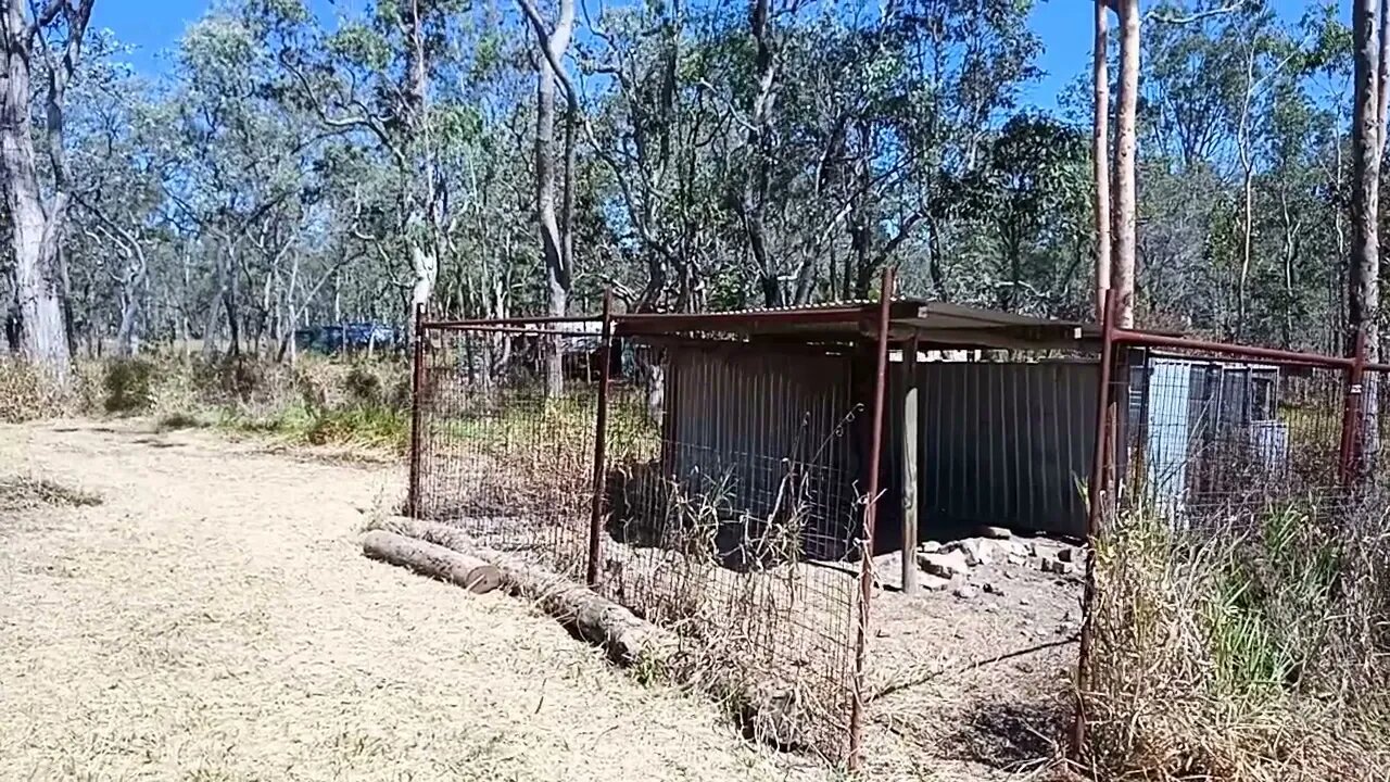 A new begining Video 2