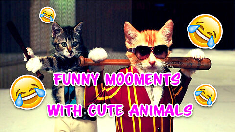 funny moments with cute animals