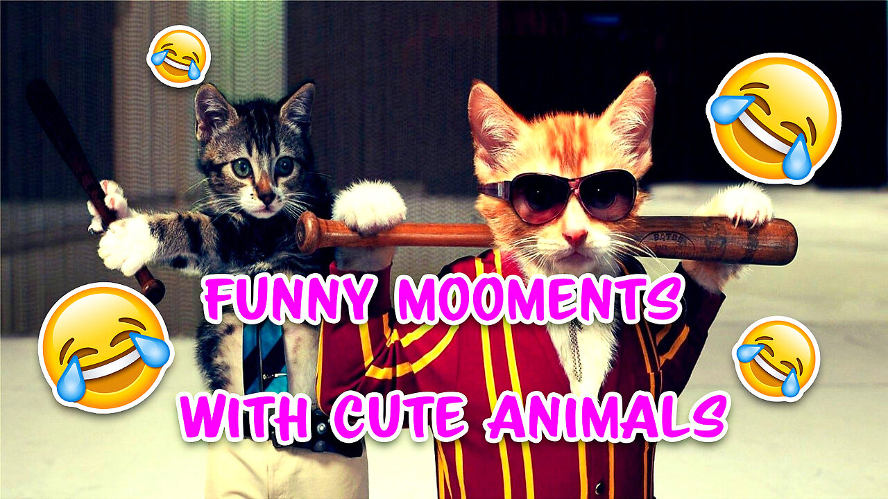 funny moments with cute animals