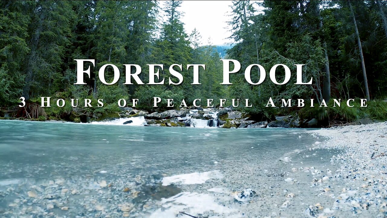 Serene Forest Pool ASMR - Relaxing Sounds of a River and Birds in Nature Ambiance