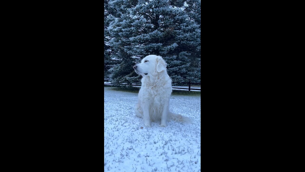 Sweet girl loves nature