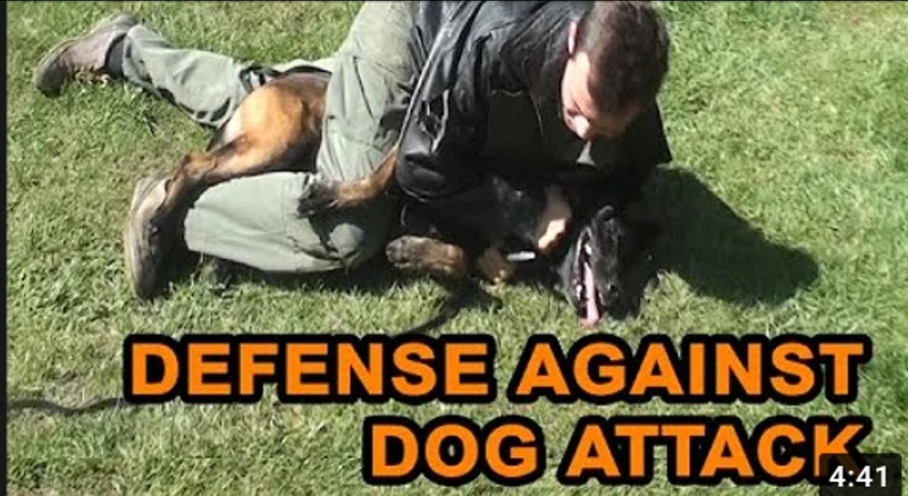 How to defend against a dog. Self defense against dog attack