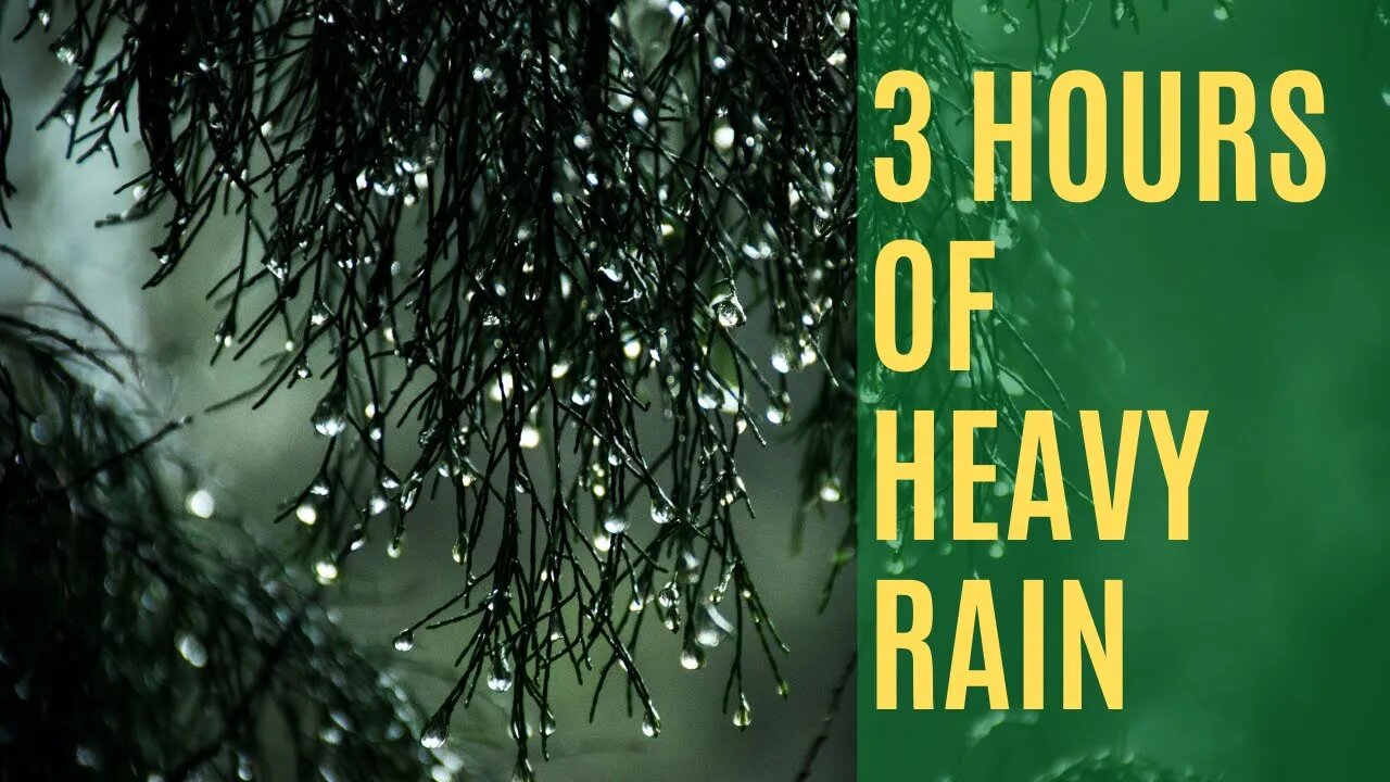 Rain on Window Sounds | Heavy Rain for Sleep, Relax, Study and Meditation