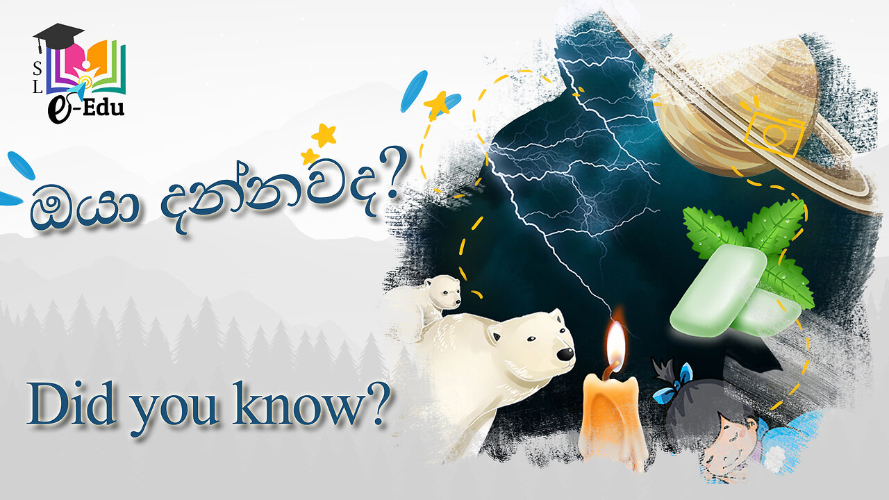 ඔයා දන්නවද? #1 [ENG SUB]| Did you know? #1