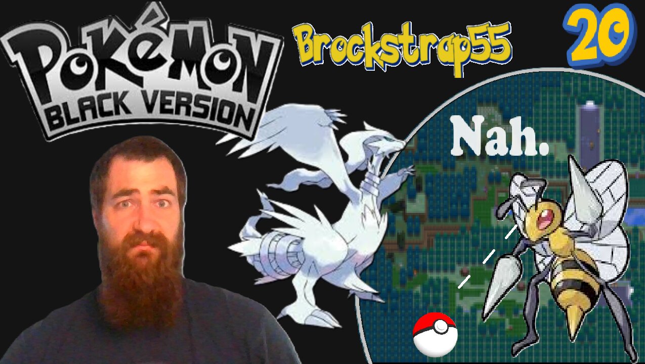 Pokemon Black Nulzocke Ep 20 : We're Back!