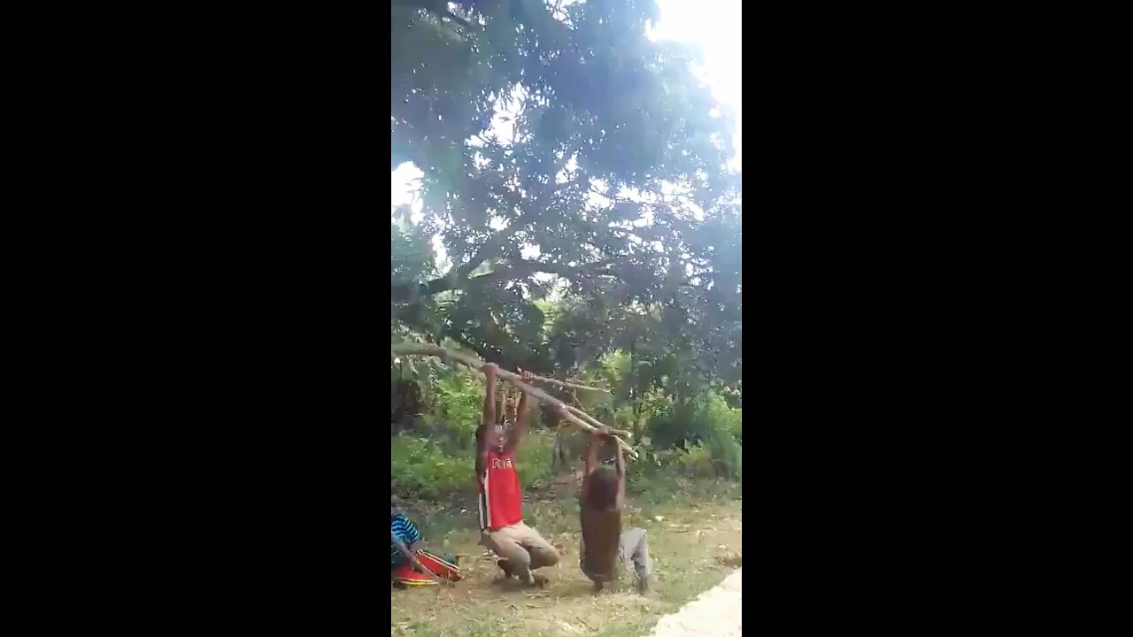 amazing