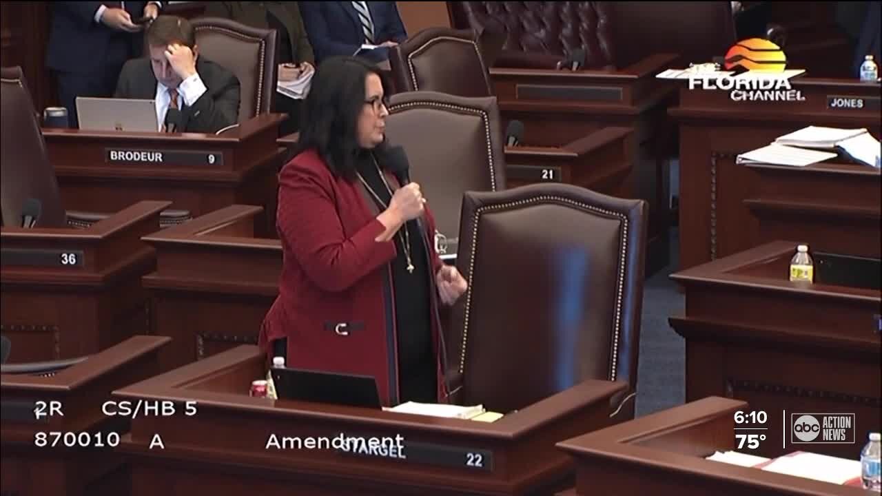 Florida abortion ban beginning to be finalized