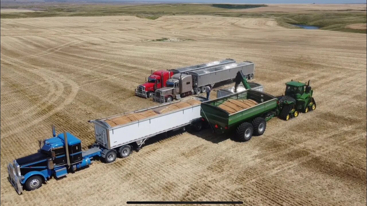 Makin ‘em earn their keep (trucks, carts & drivers) / Day 11 Highwood MT Wheat Harvest - July 30