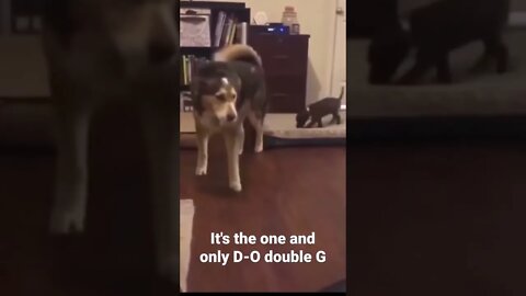 MEME is the one and only D-O double G #shorts