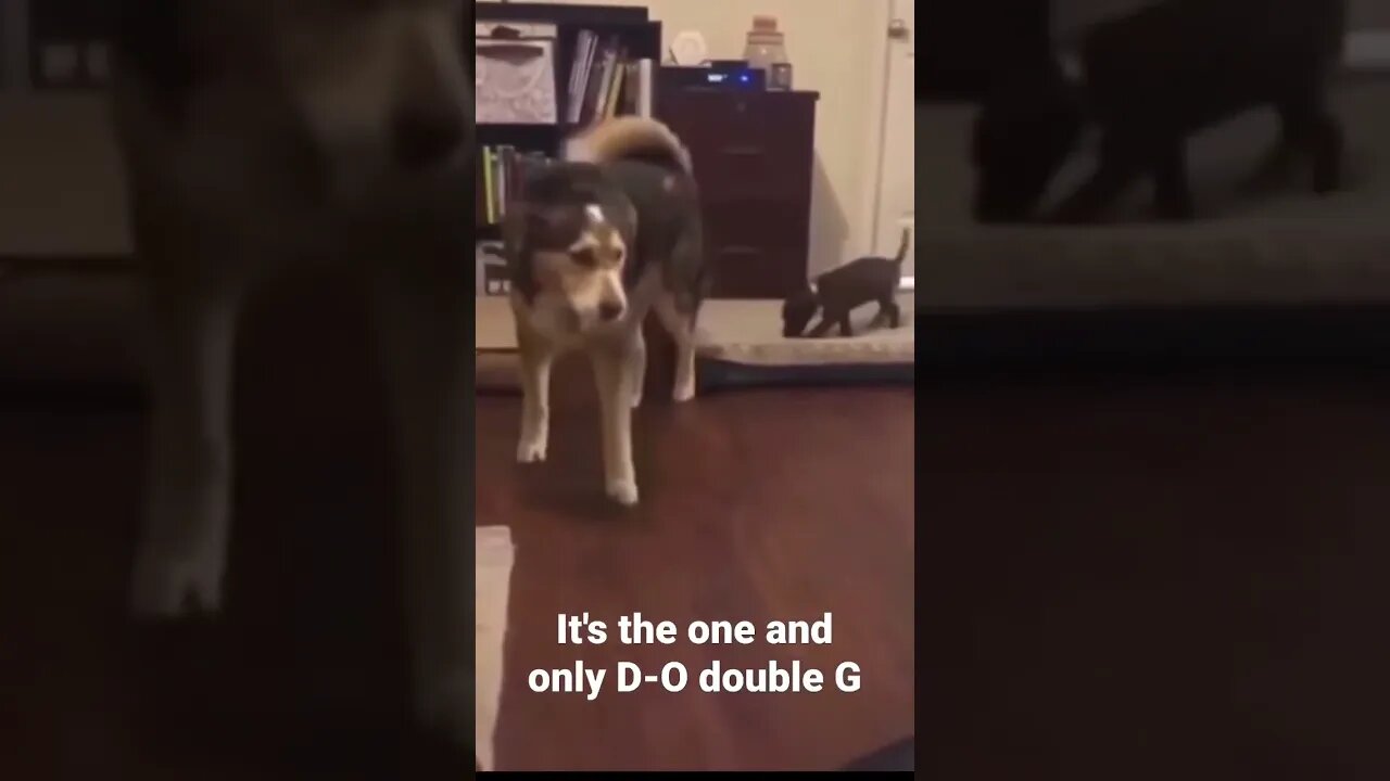 MEME is the one and only D-O double G #shorts