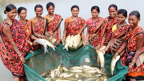 Pangas Fish Farming