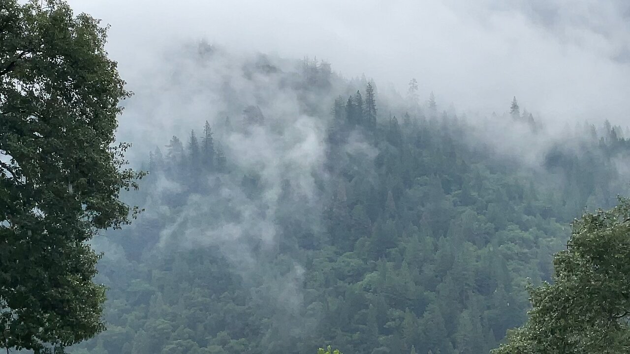 Light rain falling in the mountains of California