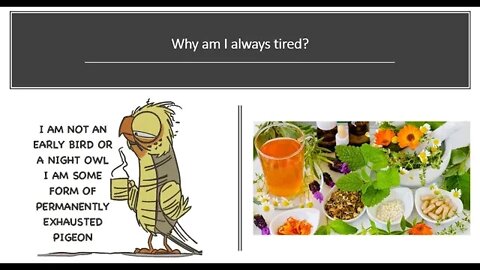 Why do I feel tired - Chronic Fatigue