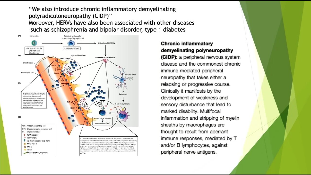 Dr. Judy Mikovits | "From The Shot, From The Bio-weapon"