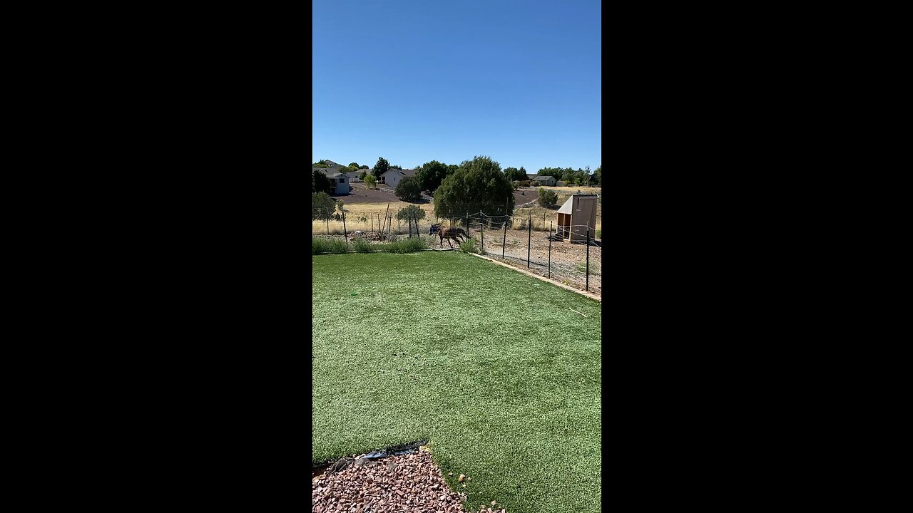 We got ourselves a runner