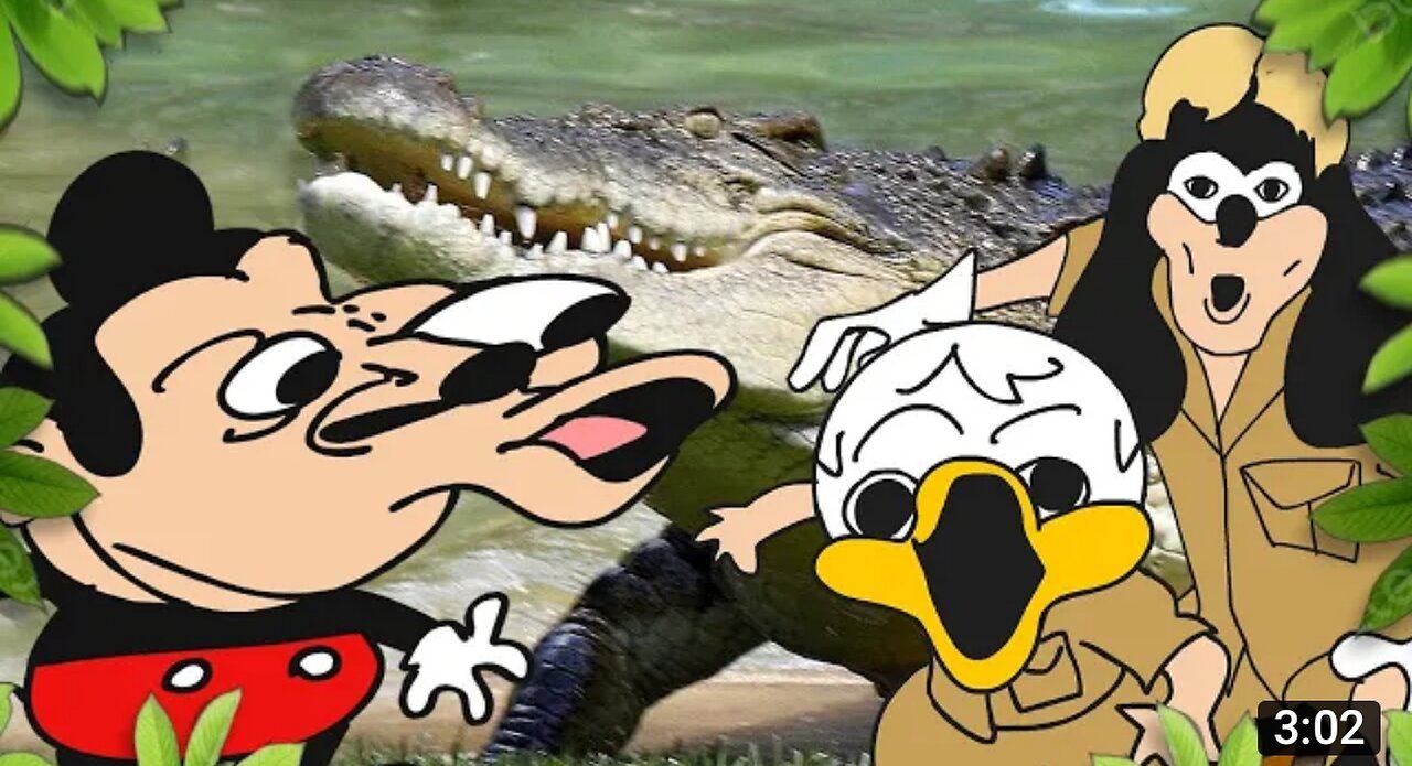 Mokey's show - 427 - Crocodile