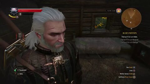 The Witcher 3 Wild Hunt Reboot Part 15-Going For A Dip