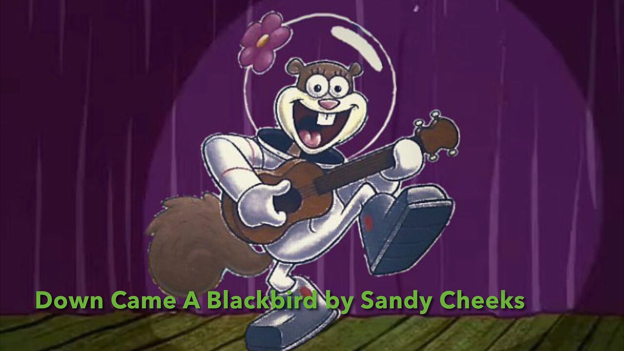 Down Came A Blackbird by Sandy Cheeks