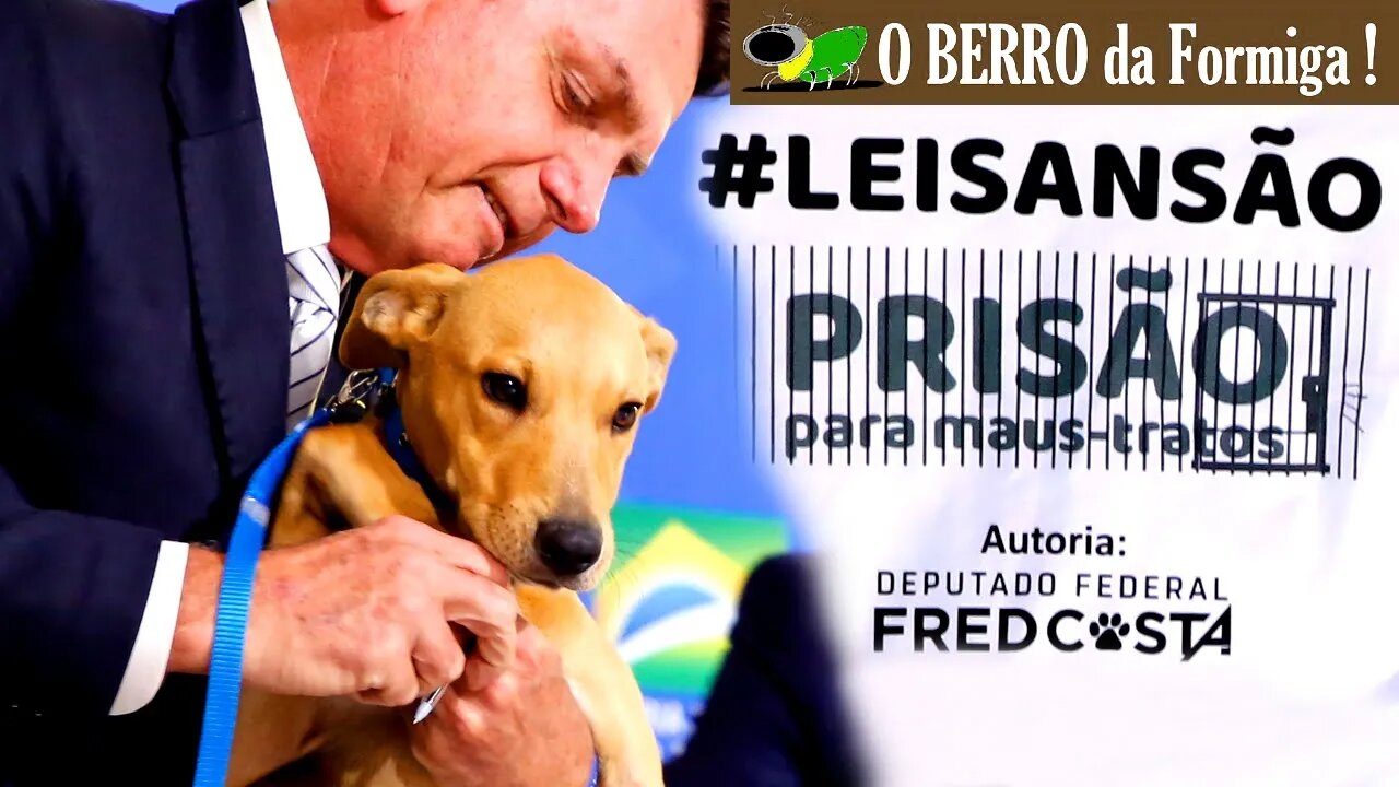 Bolsonaro sanciona Lei que pune maus tratos a animais