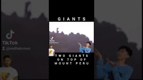 Giants