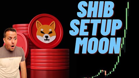 Shib Coin Setup