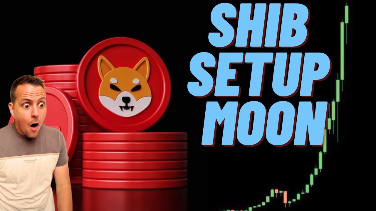 Shib Coin Setup